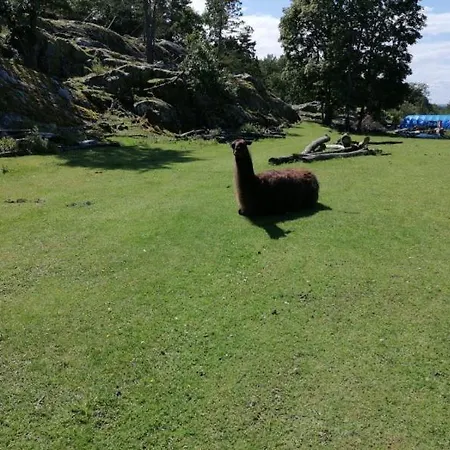 Usjenert Idyllisk Sjøbu Ferieparker